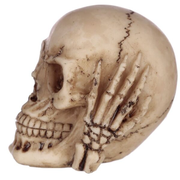 Set of 3 Small Skulls_06