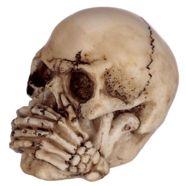 Set of 3 Small Skulls_09