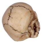 Set of 3 Small Skulls_10