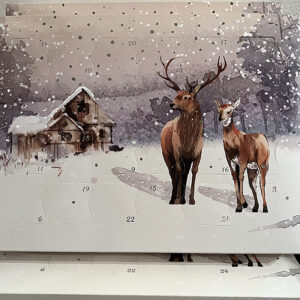 Kalender_2025