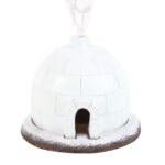 igloo1