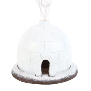 igloo1