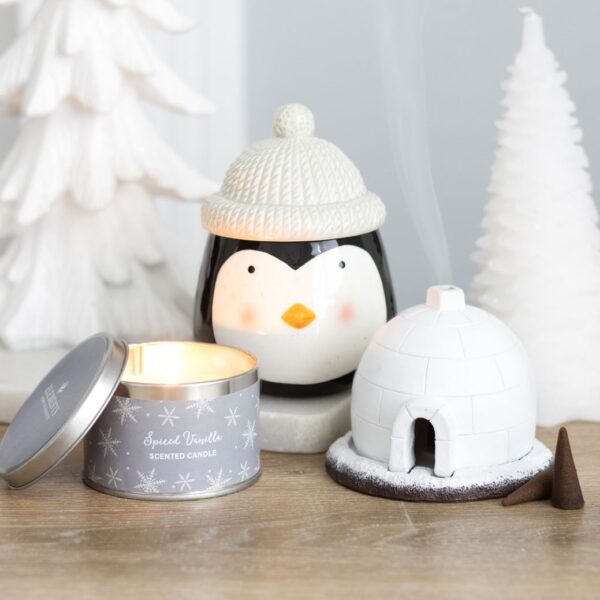 igloo3 igloo3