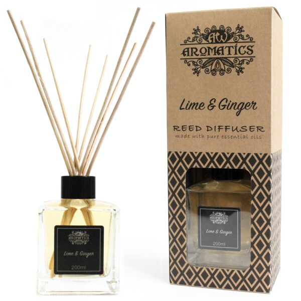 lime_ginger lime_ginger