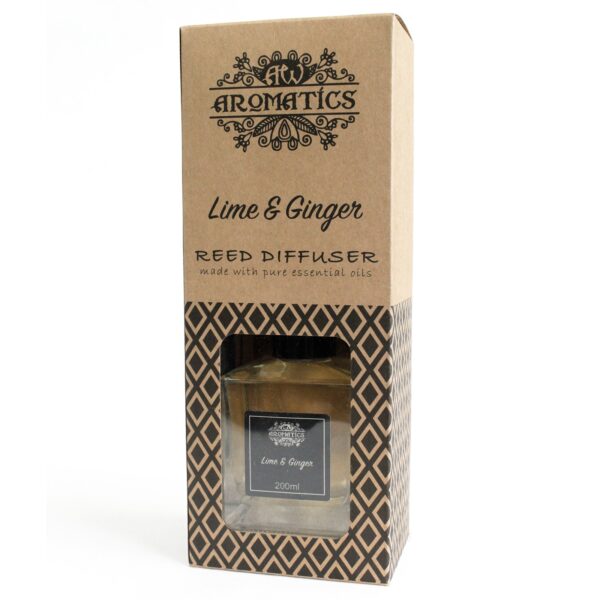 lime_ginger3 lime_ginger3
