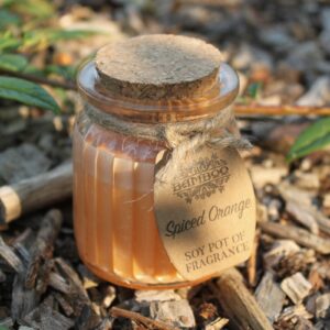 spiced_orange1