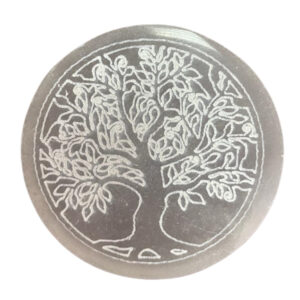 selenitt_treeoflife