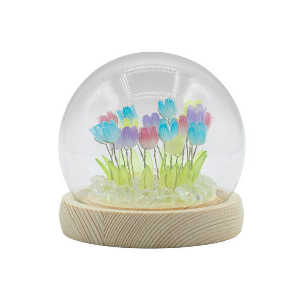 tulipanmix tulipanmix