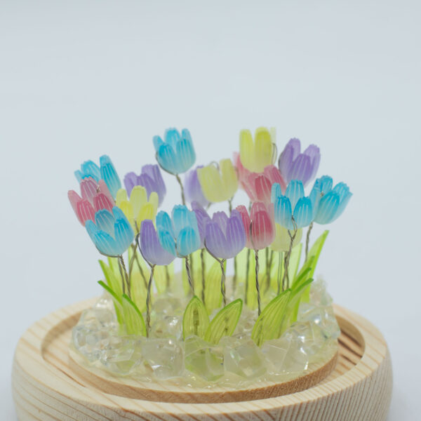 tulipanmix2 tulipanmix2