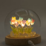 tulipanmix4